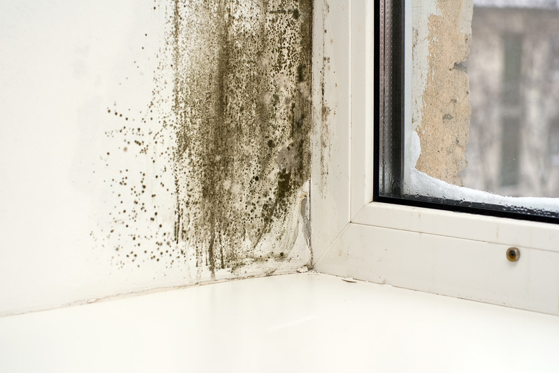 tenants to sue landlords over poor preoprty conditions